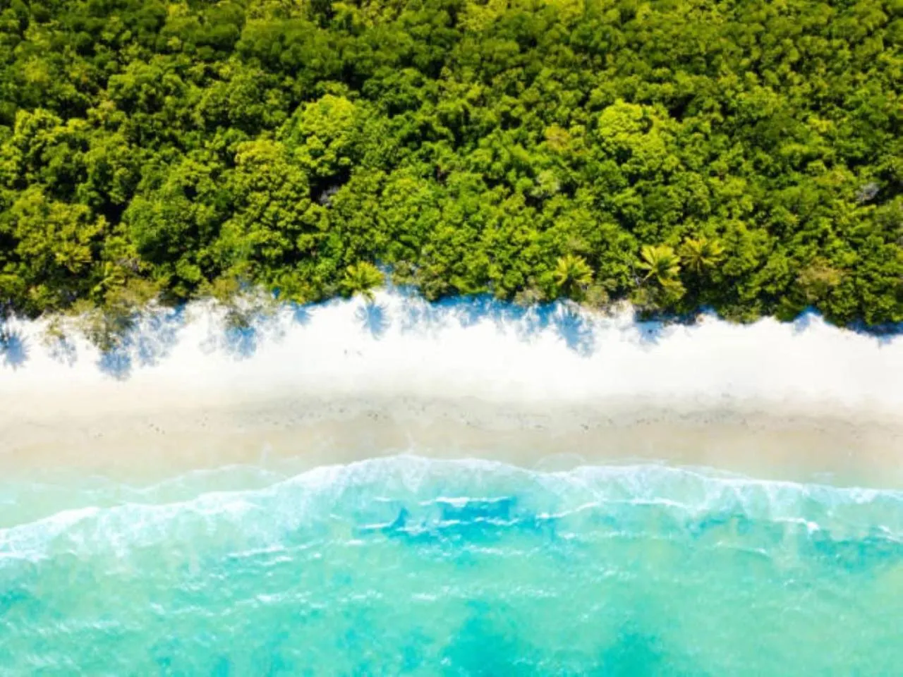 11 On The Reef Apartment Port Douglas 0*,  Australia